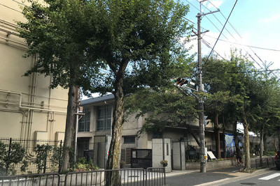 加茂川中学校